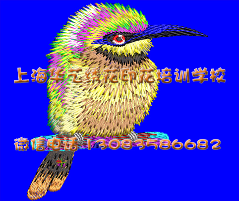 绣花制版线上实时手把手实战教学开课啦！